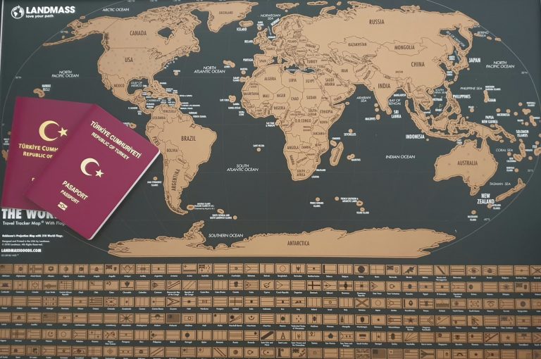 PASAPORT BAŞVURUSU NASIL YAPILIR?-2025