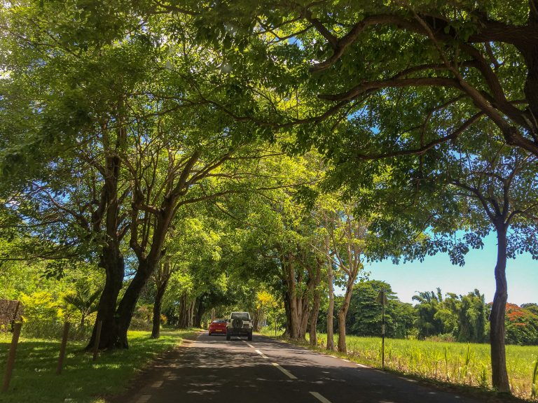 EN KEYİFLİ YOL ŞARKILARI